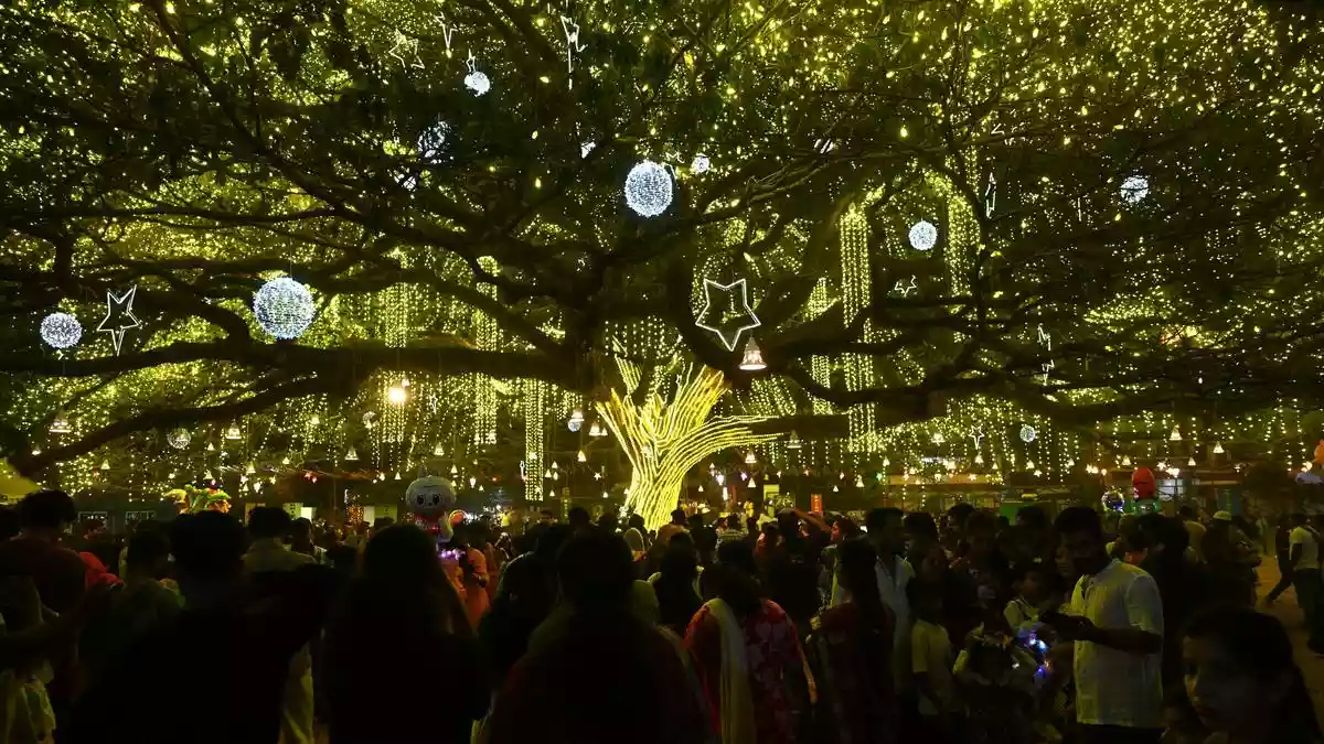 Fort Kochi’s viral Christmas tree shines bright with more than 100