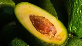 What we eat today shapes our metabolic health for years to come - not fleeting food trends. One everyday ingredient that often escapes scrutiny is cooking oil