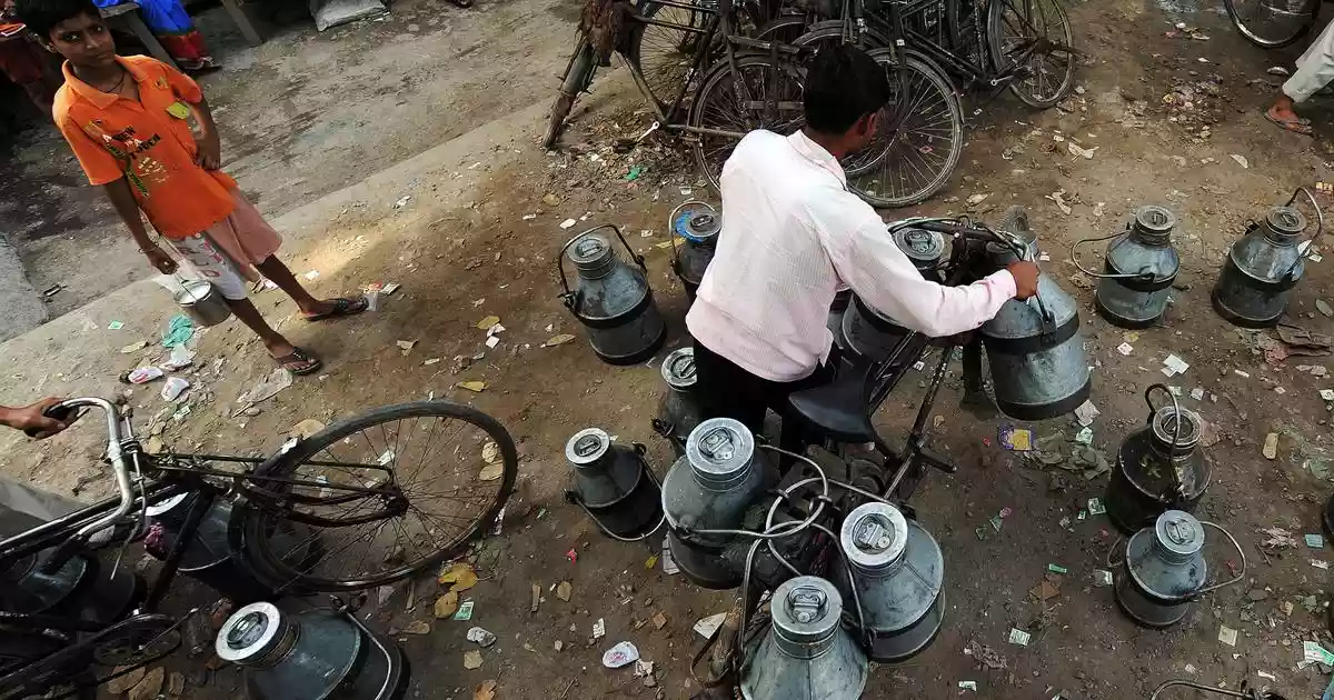 Four persons have died of acute renal failure after consuming allegedly adulterated milk in Andhra Pradesh’s Rajamahendravaram city