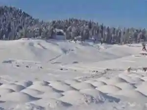 Fresh snowfall has transformed parts of Jammu division into a winter wonderland. Kathua district and high-altitude areas like Patnitop and Bhaderwah received