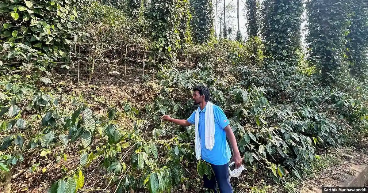 Coffee farmer Vanthala Raju was 21 when he applied to get his rights over forest land recognised in 2014. It took two years for an official to acknowledge his