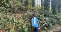 Coffee farmer Vanthala Raju was 21 when he applied to get his rights over forest land recognised in 2014. It took two years for an official to acknowledge his