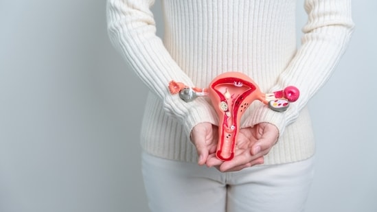 From changing menstrual products to taking lukewarm showers, know the correct menstrual hygiene routine. Menstruation is a natural biological process, but maintaining proper hygiene during periods is essential to prevent infections and ensure overall well-being. In an interview with HT Lifestyle, Dr. Manjusha Goel, lead consultant, dept of obstetrics and gynaecology at the CK Birla Hospital, Delhi said, “One common question is whether individuals should shower more frequently during their period. The short answer is yes, but not excessively.” Also read | Doctor shares 5 important period hygiene tips that every young girl should follow for stress-free menstrual cycles