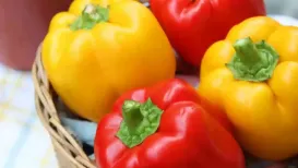 Bright colours, bursting with sweetness and a brilliant addition to any dish, bell peppers are celebrated during November. Not sweet yet not too spicy