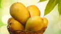 Every Indian knows that summers in the country is synonymus to mango season. The markets are brimming with this golden yellow fruit