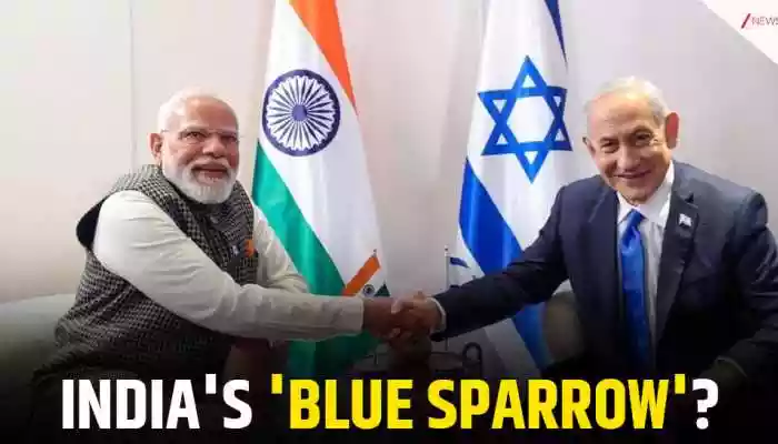 From ROCKS to golden horizon