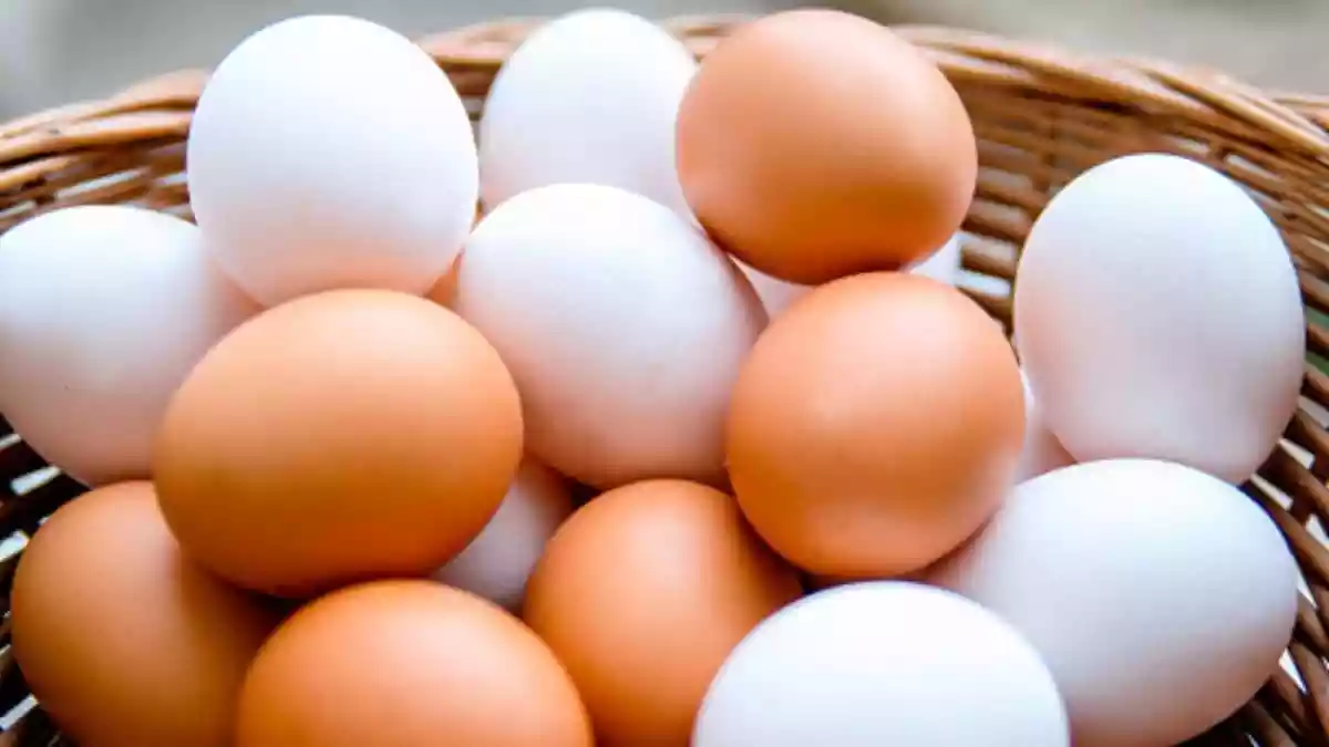 The Food Safety and Standards Authority of India (FSSAI) issued a comprehensive clarification on Saturday, December 20, 2025, reassuring the public that eggs