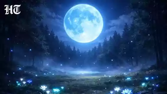 <h4>Full Moon May 2026: Astrologer shares how this intense Blue Moon might impact your zodiac sign</h4><h4>According to astrologer Sidhharrth