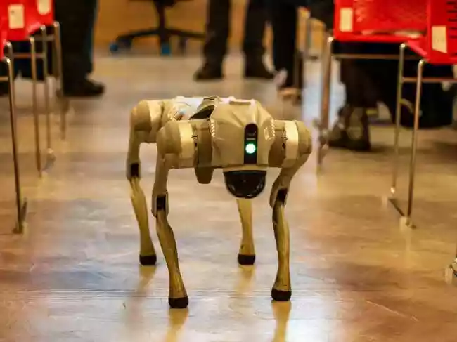 Galgotias University asked to vacate AI Impact Summit Expo stall over Chinese ‘robotic dog’ row
