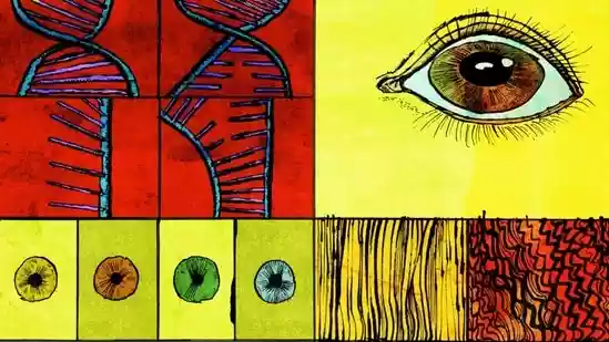 Genetically Engineered Babies Are Banned