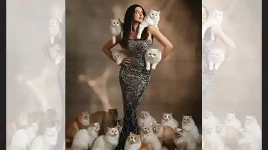 Currently I am: Shooting for three films, juggling early call times, the gym, workshops and airports. High point in life: Watching my movies, series