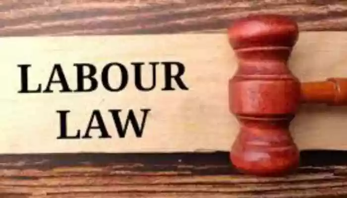 The global bodies highlighted that India's efforts contribute significantly to the wider international discourse on inclusive and modern labour systems