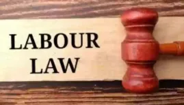 The global bodies highlighted that India's efforts contribute significantly to the wider international discourse on inclusive and modern labour systems