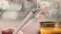 Godfrey Phillips, ITC, among the cigarette shares, surged up to 2 per cent on Tuesday after both companies announced a hike in prices of cigarettes on several