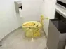 A solid gold toilet sculpture by artist Maurizio Cattelan, named 'America', is set for auction. Sotheby's will offer the artwork with a starting bid reflecting