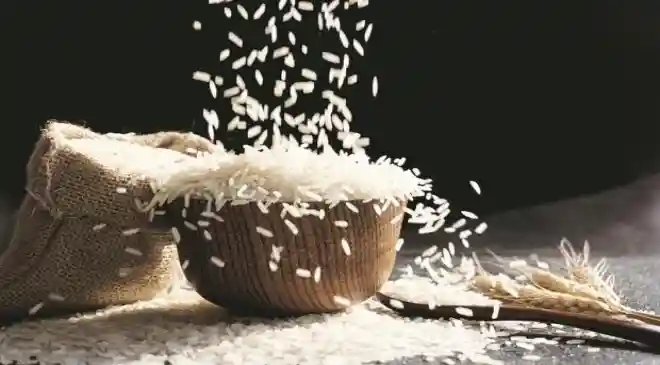 NEW DELHI: The Centre has decided to “temporarily discontinue” the fortification of rice distributed under the free foodgrain scheme (PMGKAY) and other