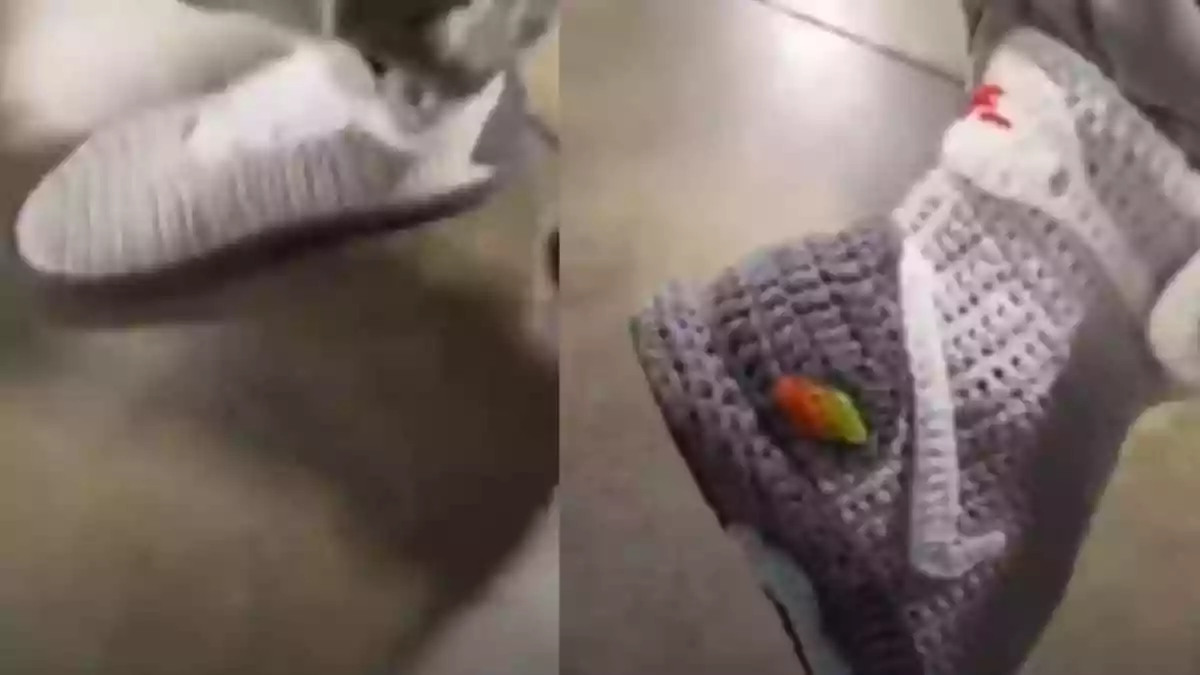 Grandma Knits Dream Pair