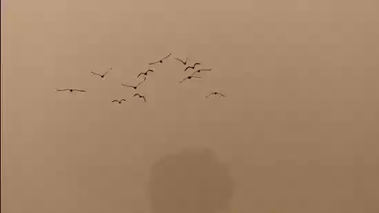 Grap Stage-3 curbs imposed in NCR as air quality deteriorates to ‘severe’ zone