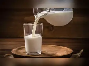Gujarat's milk procurement has surged fivefold since 2001-02, reaching 250 lakh litres per day in 2024-25, according to Cooperation Minister Amit Shah. This increase is attributed to government schemes like NPDD, DIDF, and AHIDF, which have modernized infrastructure and improved dairy farmer incomes. Milk prices paid to farmers have also risen significantly, enhancing chilling and procurement capacities.