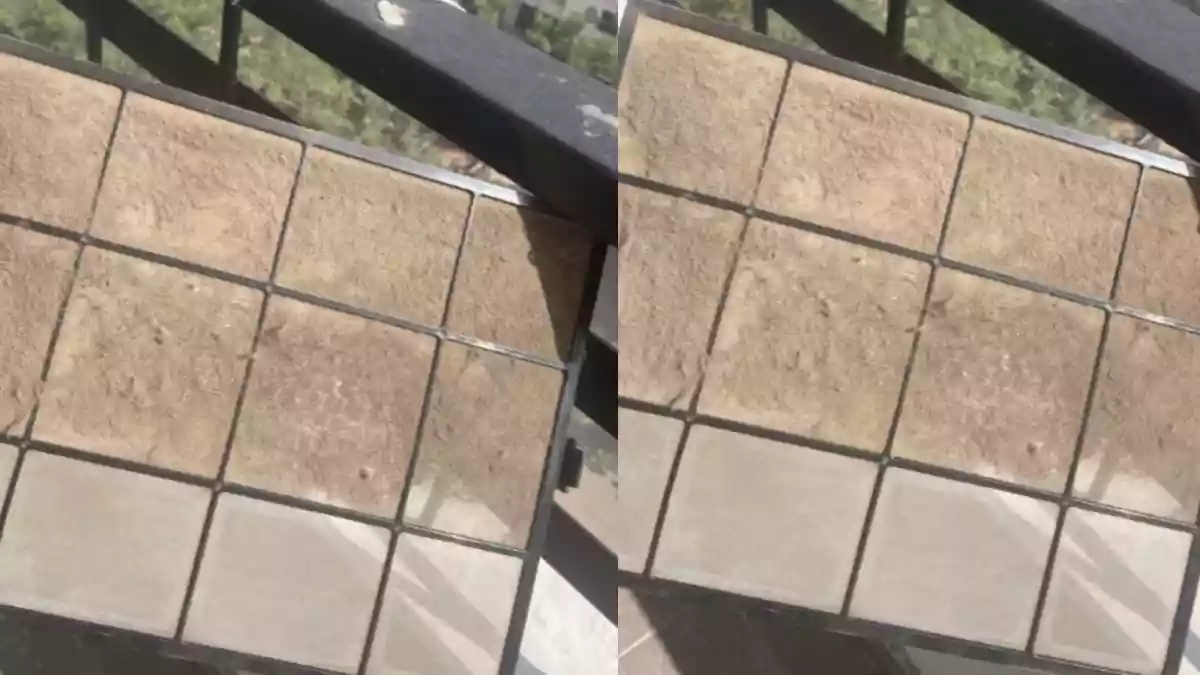 Gurugram Resident Shares Shocking Photo Of Air Purifier Filter Clogged With Dust