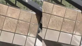 Every winter, Delhi and its surrounding areas vanish under a thick blanket of smog, and this year is no different. The capital's air has become so toxic that