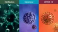 Over the past few years, the world has become unusually familiar with the language of outbreaks, infections and viral spread. Yet as headlines continue to