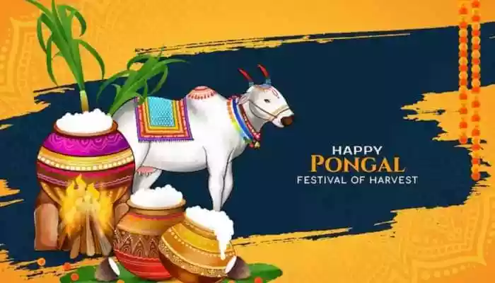 Happy Mattu Pongal 2026