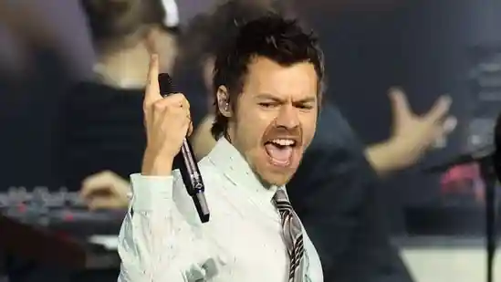 Harry Styles' one-word response to