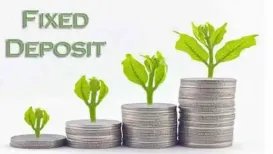 Fixed deposit (FD) investments are popular among investors with low-risk appetite and also those seeking a fixed income. Since the FD interest rate is