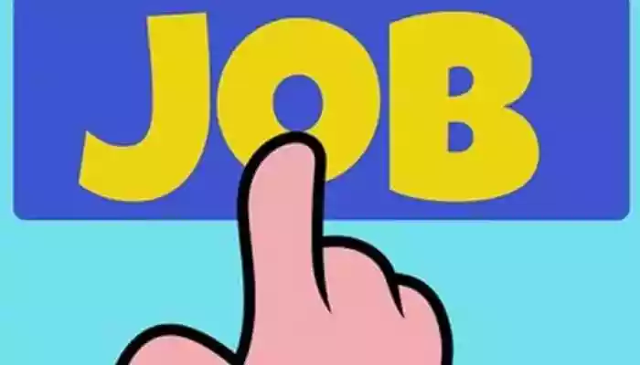 Hiring discrepancies found in 5% of India's white-collar and gig workforce