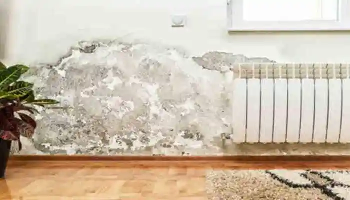 Home dampness can ruin windows and doors, but these easy remedies using everyday items can bring them back to life. <strong>New Delhi:</strong> The monsoon season often leaves homes battling the effects of moisture, especially on wooden doors and windows. Swelling, sticking and warped frames are common complaints for homeowners after heavy rainfall.