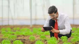 Agriculture has long been one of the strongest foundations of economic and social progress. It supports food security, generates livelihoods