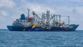 The vast Pacific Ocean and the islands dotted within it produce more than half of the world's tuna. Among the islands are 33 scattered across the centre that