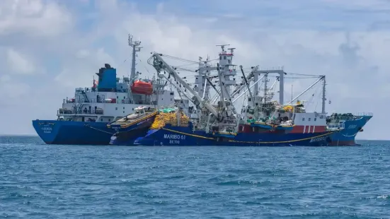 The vast Pacific Ocean and the islands dotted within it produce more than half of the world's tuna. Among the islands are 33 scattered across the centre that