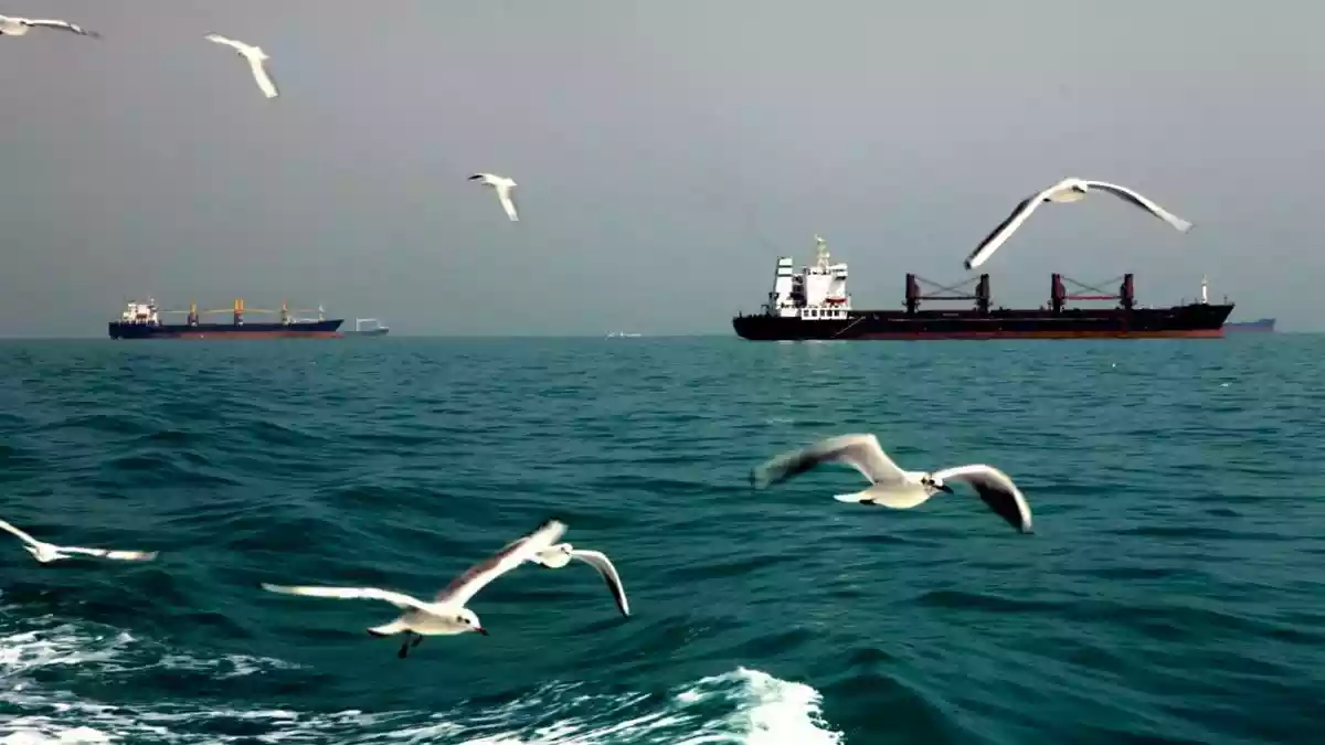 Military ships and oil tankers dominate how we imagine the Persian Gulf today. Yet beyond this familiar imagery of geopolitics and petroleum lies a mosaic of
