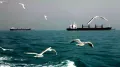 Military ships and oil tankers dominate how we imagine the Persian Gulf today. Yet beyond this familiar imagery of geopolitics and petroleum lies a mosaic of