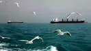 Military ships and oil tankers dominate how we imagine the Persian Gulf today. Yet beyond this familiar imagery of geopolitics and petroleum lies a mosaic of