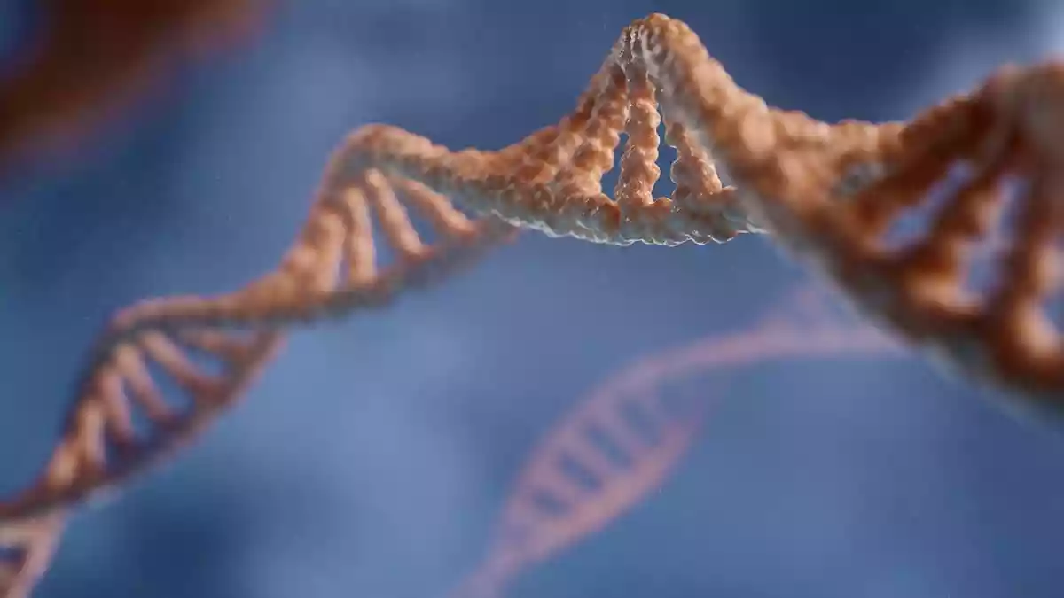 how humans evolved in the last 10