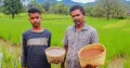 Before sunrise reached the lower slopes of the Gonasika Hills in Odisha’s Keonjhar district, Parmedhenu Juang was already in his field