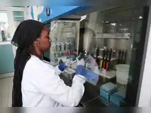 How South African scientists identified hantavirus on a cruise ship thousands of miles away