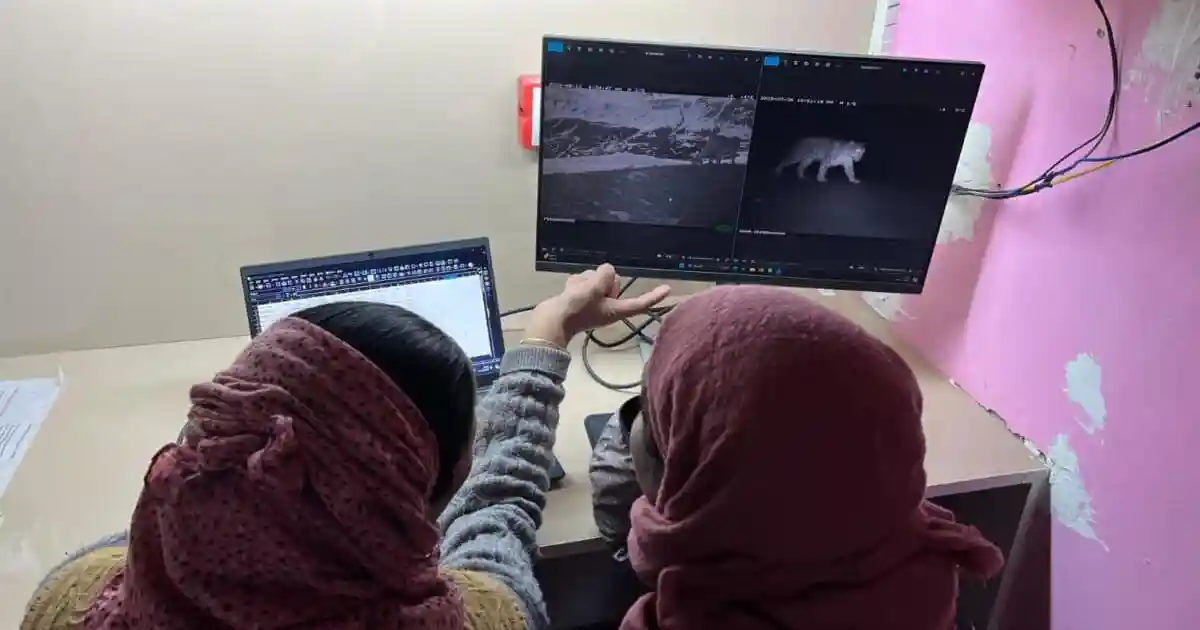 When Lobzang Yangchen first joined a wildlife monitoring team in her village two years ago, she had never touched a computer. Today