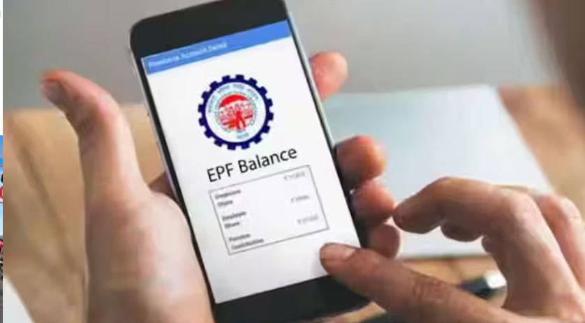 EPFO members can check their monthly PF contributions online through the EPF passbook. Here is how to verify employee and employer contributions