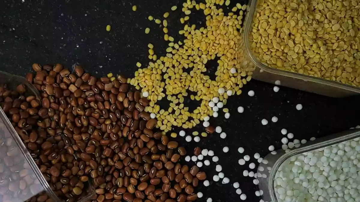 A hot, steaming ladle of dal is an essential part of every traditional Indian lunch.Dals are one of the most common ingredients in Indian households and have a