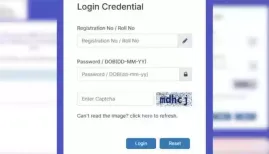 IBPS PO Mains Result 2025 OUT: The Indian Institute of Banking Personnel Selection (IBPS) has officially released the result for the IBPS Probationary Officer/