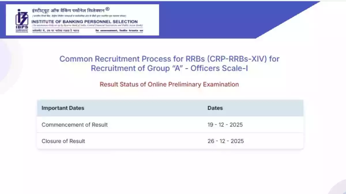IBPS RRB PO Prelims Result 2025 Declared At ibps