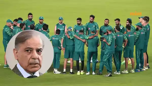 Pakistan may pull out of the ICC Men's T20 World Cup 2026. The decision is pending after Bangladesh's removal from the tournament