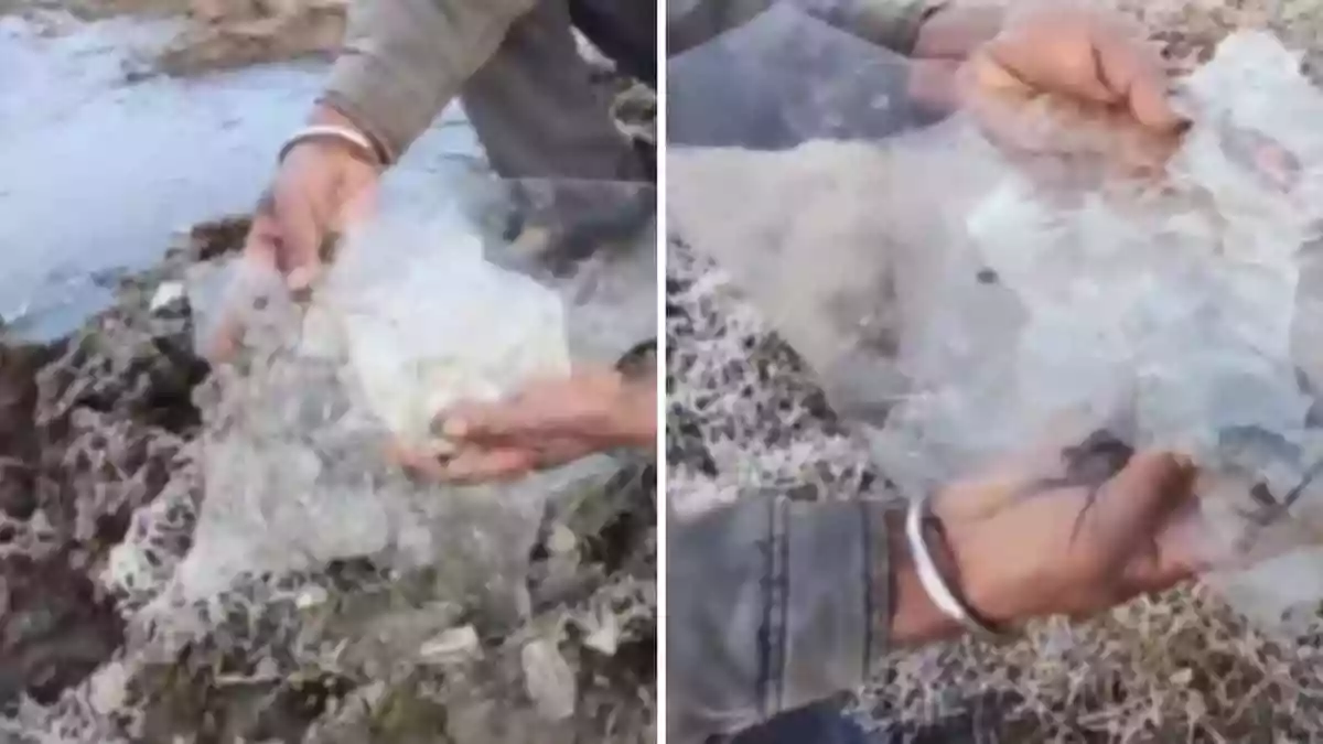 Icy layers were seen covering water bodies, and frost formed on grasslands as extreme winter conditions gripped Rajasthan's only hill station, Mount Abu