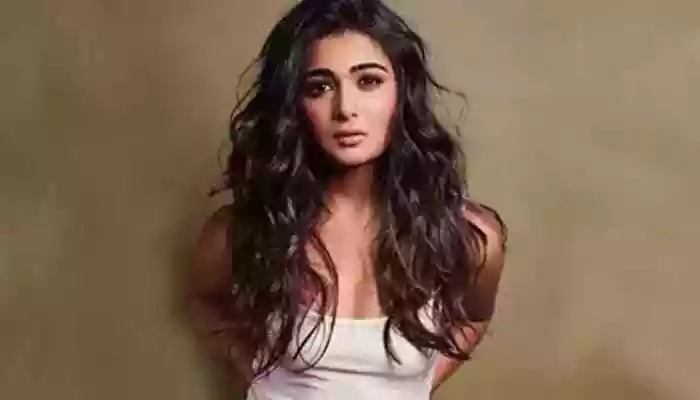 Idli Kadai Actress Shalini Pandey Joins Pulkit Samrat In 