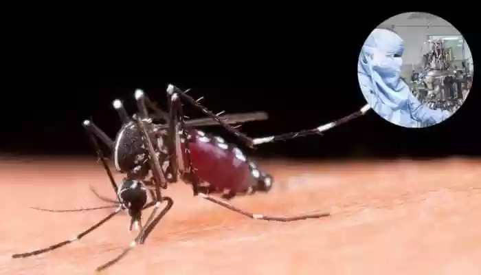 IIT Delhi May Have Changed Mosquito Control Forever - Using Laundry Detergent