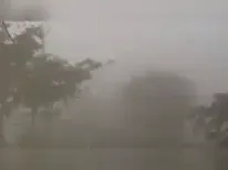 The India Meteorological Department has issued a yellow alert for cold conditions and dense fog across Jharkhand. Several districts are experiencing